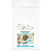 Bunny Nature Rabbit Dream Large Breed