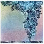 Konkurrent Daughn Gibson - Carnation (LP)
