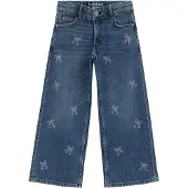 Blue Ridge Jeans black denim