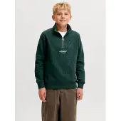 JACK&JONES JUNIOR Junior Sweatshirt 'JJESoho' riet / wit