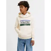 JACK&JONES JUNIOR Junior Sweatshirt 'JORFrederiksberg' blauw / spar / zwart / wit