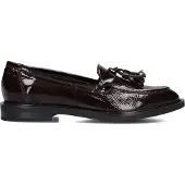 CTWLK Dames Mocassins Tachy - Bruin - Maat 39