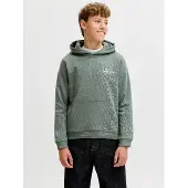 Jack & jones Jornorrebro typo back sweat hood sn jnr olijf