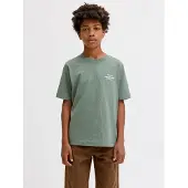 Jack & Jones Kids Junior Shirt 'JORNORREBRO' mintgroen / wit