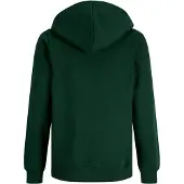 JACK&JONES JUNIOR Junior Sweatshirt 'JORFrederiksberg' donkergroen / cranberry / wit