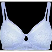 Triumph minimizer bh Signature Sheer
