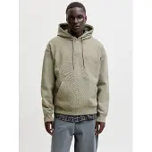 Jack & Jones Sweatshirt 'JJEAce' pastelgroen