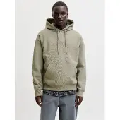 Jack & Jones Sweatshirt 'JJEAce' pastelgroen