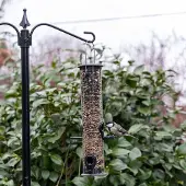 Cj Wildlife Voedersilo Amsterdam 4 openingen - Zwart |