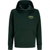 Jack & Jones Junior Sweatshirt 'JJEBrandes' geel / donkergroen