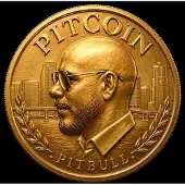 Hamstead Soundworks PITCOIN