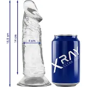 X RAY | Xray Clear Cock 16.5 Cm X 4 Cm
