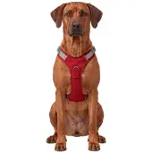 Knuffelwuff verstelbaar hondentuig Trexor met handgreep XL Rood