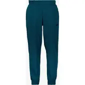 Puma Sportbroek 'ESS No. 1' petrol