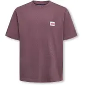 Only & Sons Junior Shirt 'OSJFred' kastanjebruin