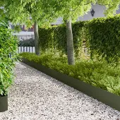 vidaXL Gazonrand 20 st 100 x 18 cm Staal Olijfgroen