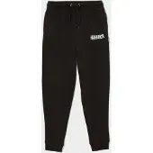 Hoodrich Lynx Joggers Junior, black