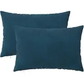 vidaXL Kussen met kussen HEERLEN 2 st Blauw fluweel