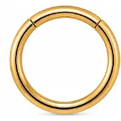 Cilla Jewels Goudkleurige Gladde Damesneusring met Clickersluiting