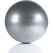 Gymstick Fitness Fitbal