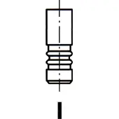 FRECCIA R6756/BMCR Uitlaatklep