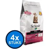Schesir 4x hond dry maintenance small ham 800gr