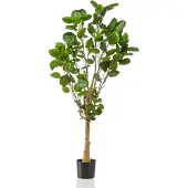 Green Boutiq Kunstplant - Polyscias - Aralia - 150 cm