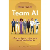 Pelckmans Team AI