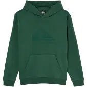 Quiksilver - Kid's Comp Logo Hoodie - Hoodie 16, groen