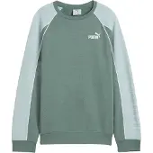Puma Kinderen Sportstijl Relaxed Fit Raglan Lange Mouwen Sweatshirt (Groen/Maan)