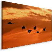 Karo-art Schilderij - Kraanvogels bij Zonsondergang, Premium Print