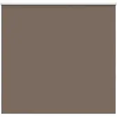 vidaXL Rolgordijn verduisterend koffie 165x150 cm stofbreedte 161,6 cm