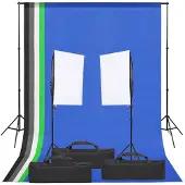 vidaXL Fotostudioset met verlichtingsset en achtergrond