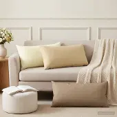 vidaXL Kussensloop 2 pcs HEERLEN Beige 40 x 80 cm Polyester