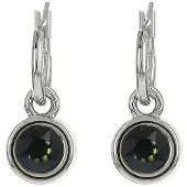 Biba Oorhangers zilver met steen Tabac