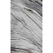 Dimex Fotobehang - Tree Texture 150x250cm - Vliesbehang