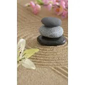 Dimex Fotobehang - Zen Garden 150x250cm - Vliesbehang