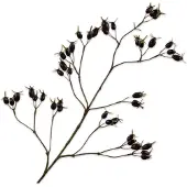 Silk-ka Kunstbloem-Zijden Bloem Rozenbottel Tak Paars 96 cm