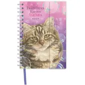 Comello Franciens Katten Spiraalagenda 2027 Blitz