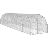 vidaXL Kippenren 2,5x12x2,25 m gegalvaniseerd staal
