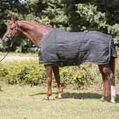 Kavalkade Paardendeken Stallion 400 g