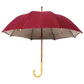 Le Monde du Parapluie Grote damesparaplu met dubbele kap,Groen