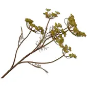 Silk-ka Kunstbloem-Zijden Bloem Dille Tak Groen 79 cm