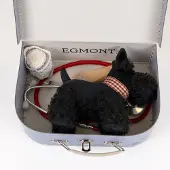 Egmont toys dokterskoffer speelgoedset Walter met halsband 7-delig.
