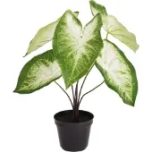 Maxifleur Kunstplanten Caladium Aron kunstplant 45cm in kweekpot