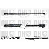 Quinton Hazell QTS828796 Gasveer achterklep