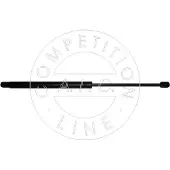 AIC 53858 Gasveer achterklep