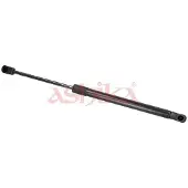 ASHIKA ZSAS0001 Gasveer achterklep
