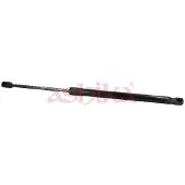 ASHIKA ZSA90037 Gasveer achterklep