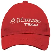 Picasso American Team Pet